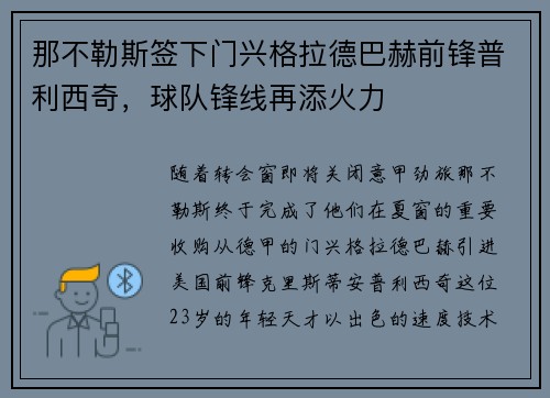那不勒斯签下门兴格拉德巴赫前锋普利西奇，球队锋线再添火力